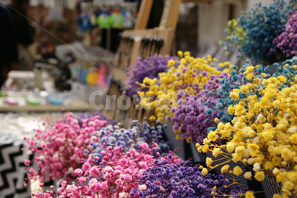 Gypsophila,flower decoration,flower shop,flower basket,dried flower,dried flowers