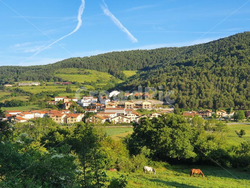 까미노,산티아고,순례자의길,풍경,시골마을,동물,말,camino,santiago,caminodesantiago,pilgrim,landscape,smalltown,animal,horse