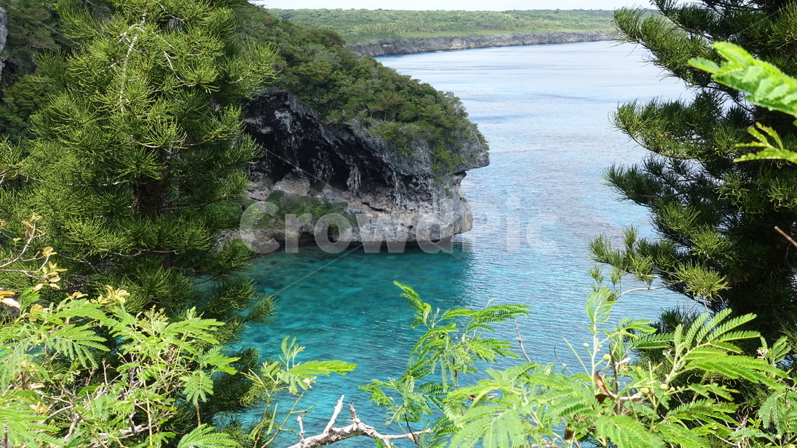 green,초록,nature,plant,식물,자연,sea,ocean,바다,수평선,horizon,수풀,summer,여름,휴가,vacation,휴양지,태평양,남태평양,리푸,뉴칼레도니아,자연,풍경,nature,landscape,세계자연풍경,해외자연풍경,외국자연풍경,world nature landscape