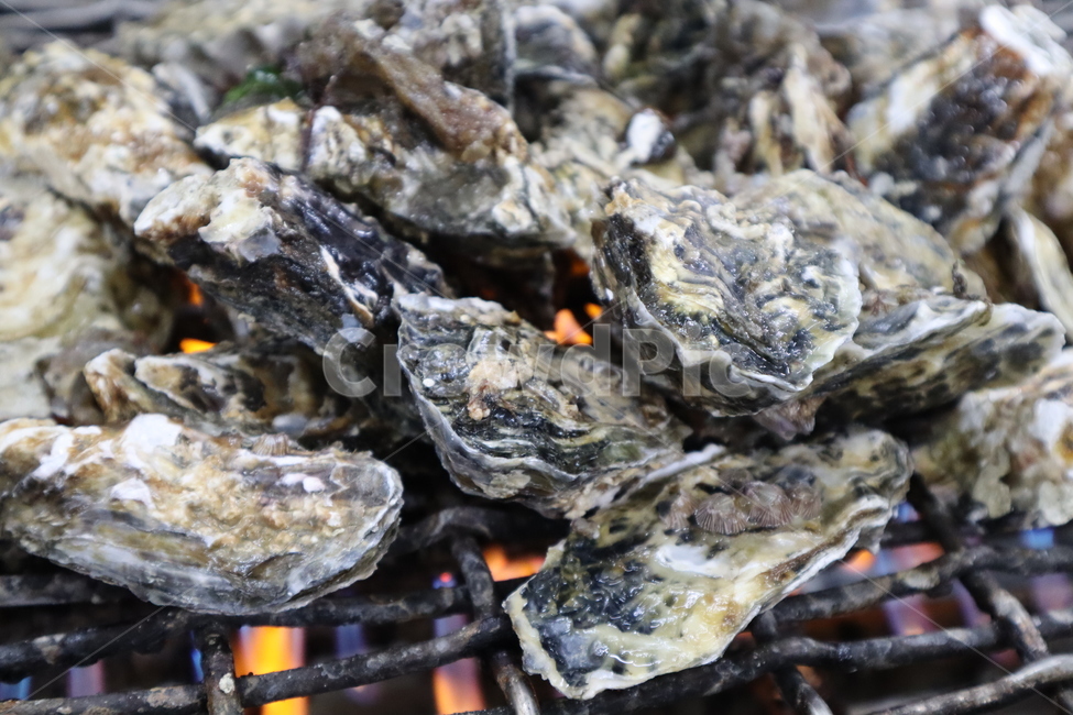굴,석화,굴구이,해산물,조개,음식,식재료,요리,food,cook,meal,dishes,food reserves,수산물,해산물,fishery products,seafood
