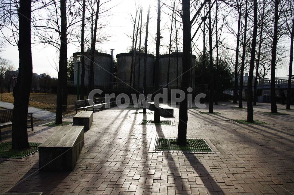 겨울,나무,공원,식물,plant,역광,자연,풍경,nature,landscape,flooring,바닥,path,통로,wood,walkway,보도
