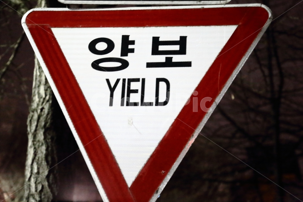 교통,양보,안전,표지판,삼각형,지시,명령,자동차,교통,교통수단,traffic,transportation
