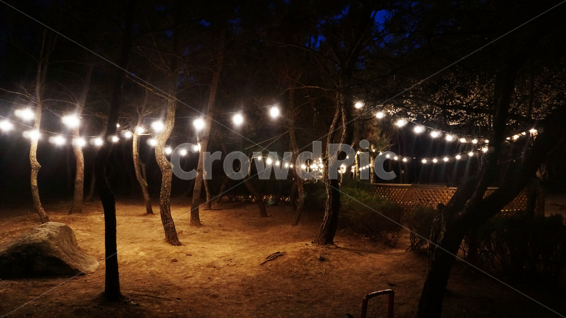 불빛,밤,조명,반짝,배경,야경,밤,풍경,nightscape,night,landscape,light,빛,flare,플레어