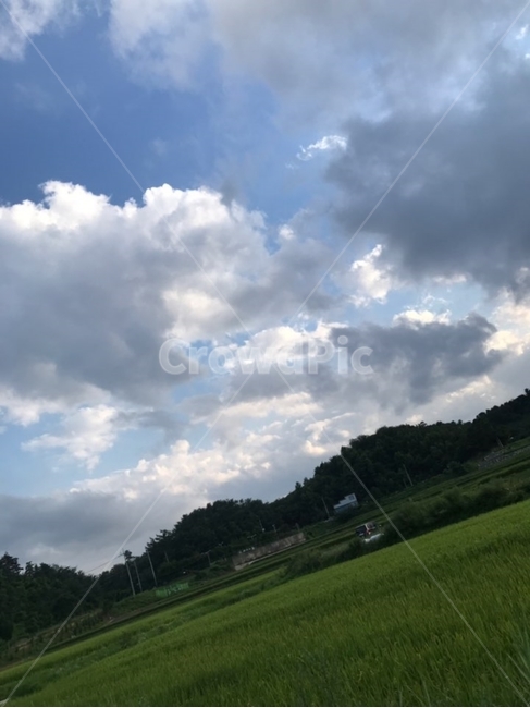 구름,노을,밭,들판,해질녘,자연