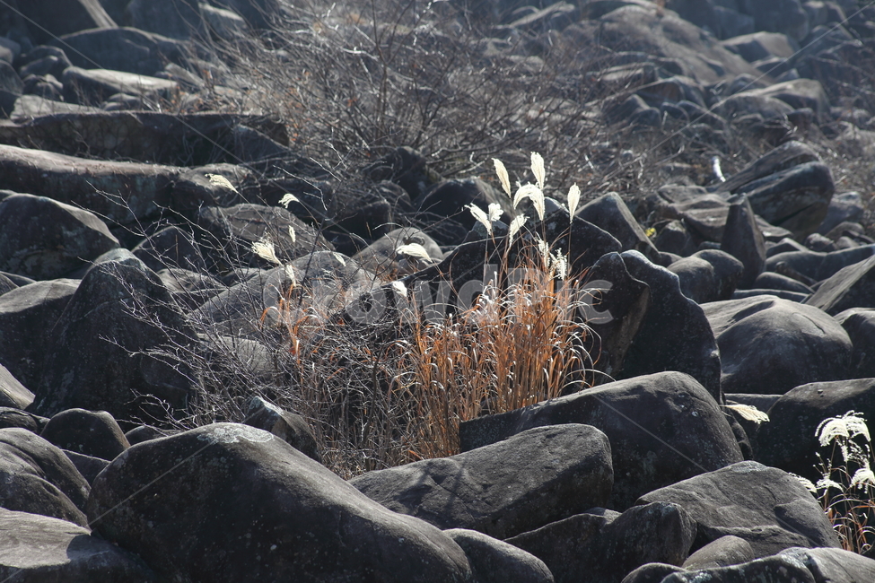 만어사,경석,돌,바위,rock,자연,풍경,nature,landscape,록