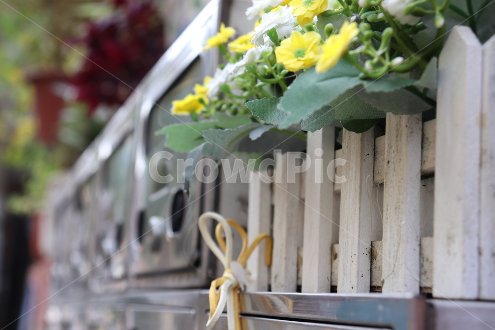 plant,식물,골목길,풍경,꽃,우편함,식물,자연,plants,nature,꽃,flower