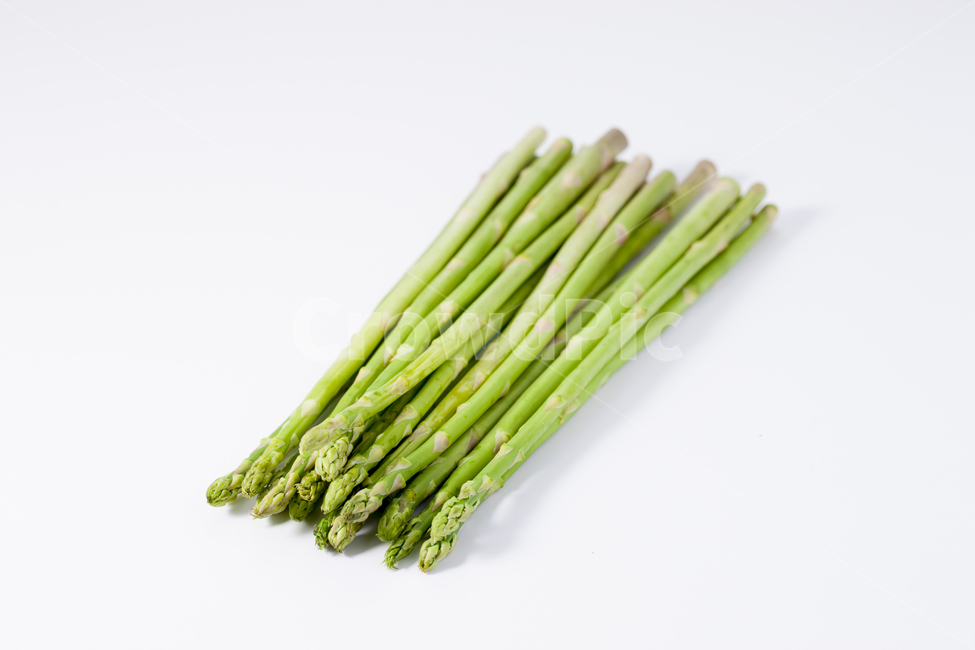 아스파라거스,asparagus,아스파라거스누끼,누끼,채소,plant,식물,vegetable,야채,food,식품,채소,야채,vegetables