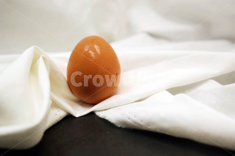 egg,계란,food,음식,standing,요리,주방,테이블,카운터,달걀,음식,식재료,요리,food,cook,meal,dishes,food reserves