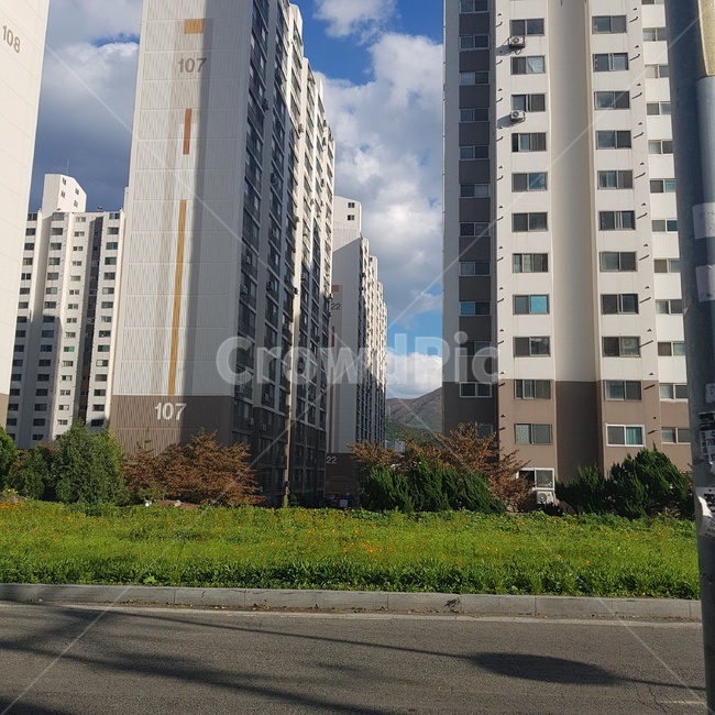 아파트,아파트뷰,구름,잔디,풀밭,그림자
