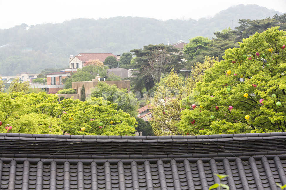 기와,풍경,선,문양,기원,염원,도시,풍경,city,landscape,한국도시풍경,한국도시경관,korea cityscape,한국전통,한국문화,korean traditional,korean culture,건축물,건물외관,exterior,building,structure,architecture,construction,roof,지붕