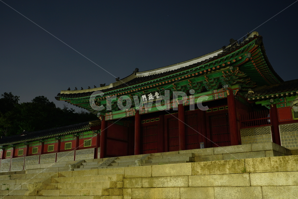 한국,서울,경희궁,경덕궁,궁궐,궁전,조선,조선시대,조선왕조,왕국,야경,한옥,palace,korea,seoul,문화재,역사,전통,문화,전통문화,한국적인,nightview,nightscene,nightscape,나무,tree,밤하늘,야경,밤,풍경,nightscape,night,landscape,랜드마크,landmark,tourist attraction,한국랜드마크,한국관광지,한국명소,korea landmark,korea tourist attraction,architecture,건축물,shrine,신사,pagoda,탑,worship,예배,building,건물