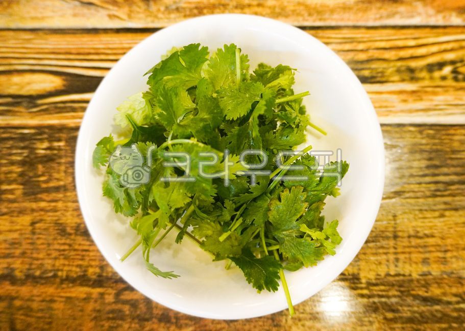 고수,향나물,쌀국수고수,베트남,향신료,식재료