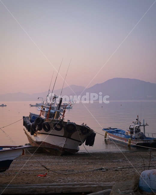 새벽,바닷가,해변,어선,한국풍경,풍경,ship,twilight,landscape,바다,shore,한국자연,자연,nature,산업,industry,industrial,어업,fishery,fishing industry