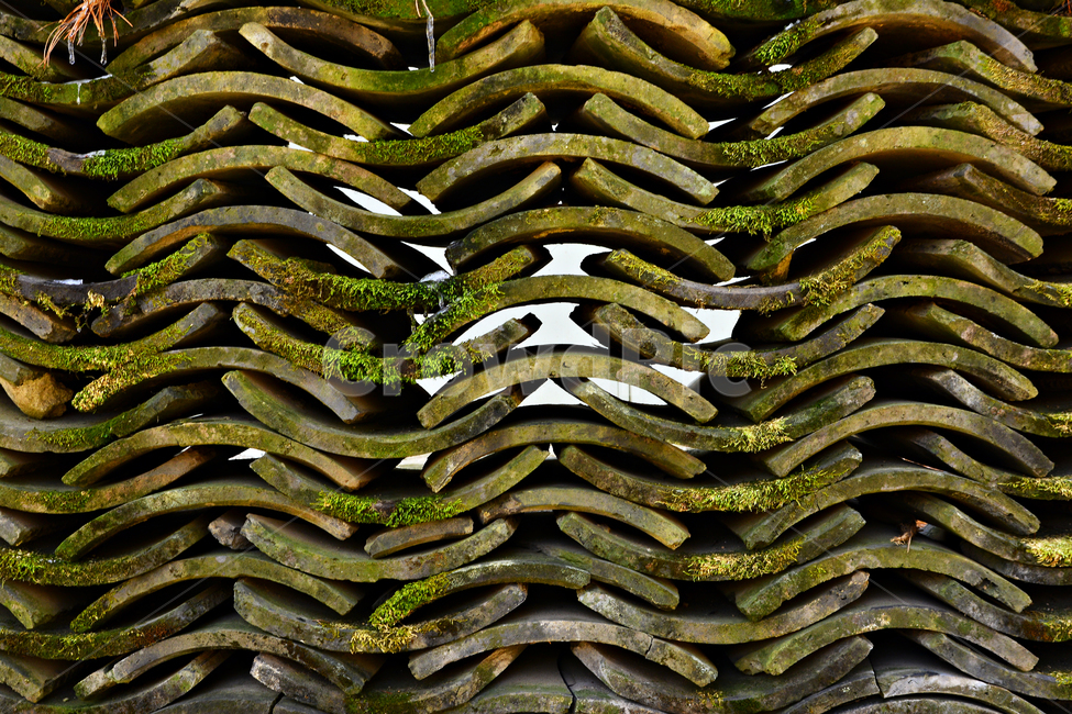 패턴,텍스쳐,전통,고궁,문양,한국적,코리안,pattern,texture,korean,tour,관광지,서울,창경궁,경복궁,보존,culture,traditional,기하학,추상,배경,바탕,백그라운드,background,디자인,라인,선,면,무늬,리듬,역사,문화유산,아름다움,한국의미,장인,east,동양적,아시아,담장,울타리,wall,빈티지,vintage,앤틱,유물,기왓장,기와,이끼,한국전통,한국문화,korean traditional,korean culture,텍스처,질감,패턴,texture,pattern