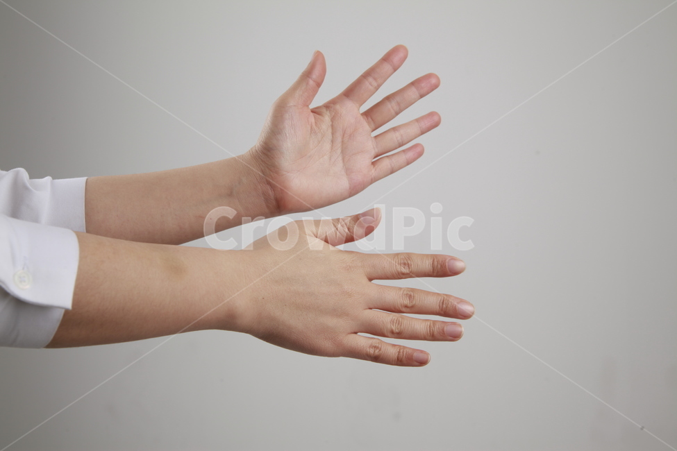 손,핑거,손가락,손모양,여러가지손모양,손포즈,손가락포즈,사람,인물,인간,human,person,신체일부,몸,body,손,제스처,표시,손짓,표현,gesture,hand,sign,expression