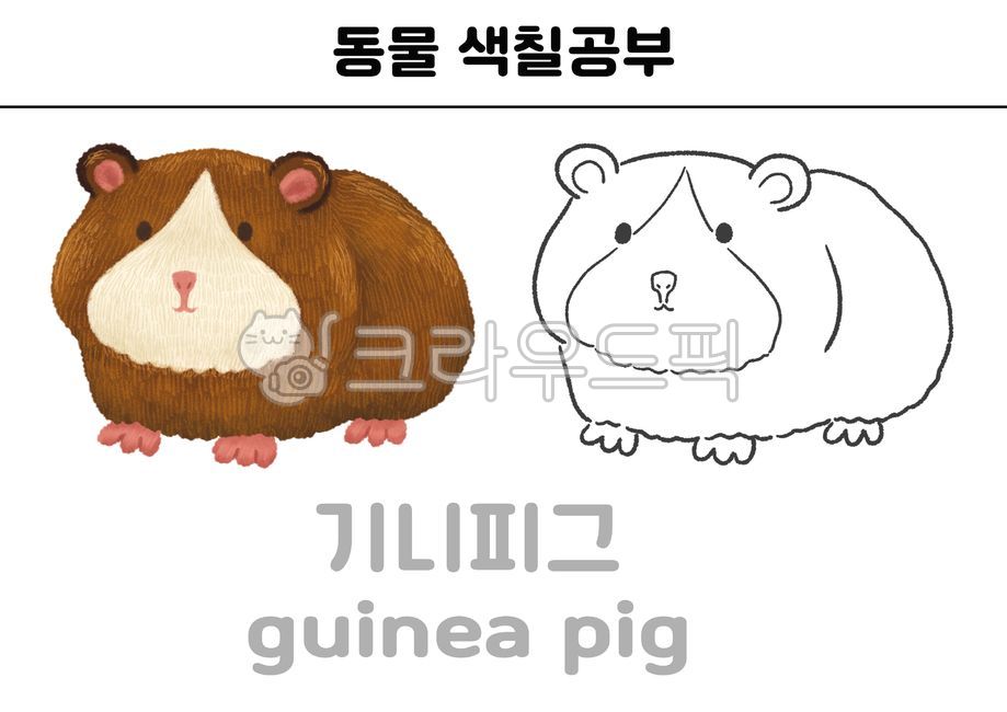 기니피그,동물,기니피그일러스트,기니피그캐릭터,기니피크그림,기니피그손그림,동물일러스트,동물그림,동물캐릭터,귀여운동물,햄스터,햄스터일러스트,햄스터캐릭터,햄스터그림,guineapig,귀여운동물일러스트,색칠공부,동물색칠공부,기니피그색칠공부