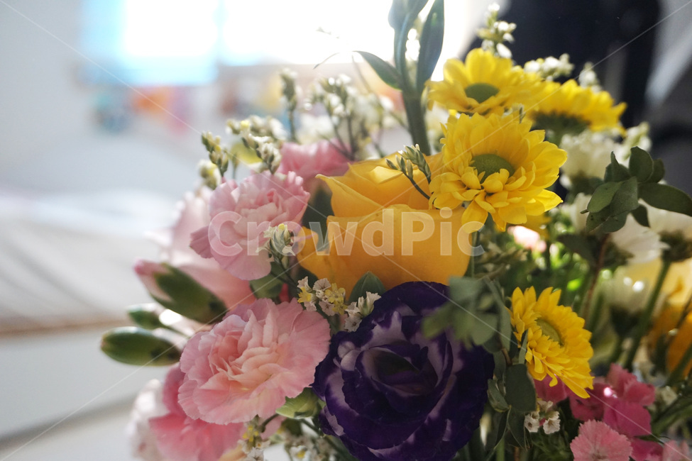꽃,장미꽃,리본,카네이션,국화,flower,roses,ribbon,chrysanthemum,carnation,pink,yellow,안개꽃,gypsophila,꽃,flower