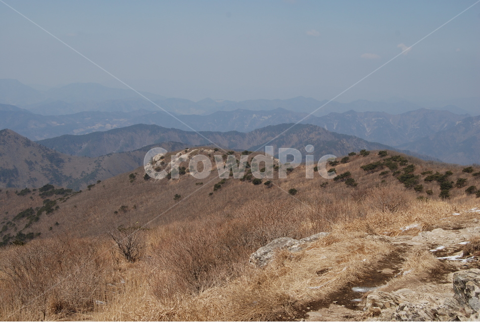 밀양재약산,천황산,재약산사자평원,결빙지,얼음골,등산로,능선,치유,여행,돌,산행,힐링,자연,동행,등산,계절,한국,한국명산,한국등산,풍경,나무,하늘,바람,땅,자연,풍경,nature,landscape,한국자연풍경,한국자연경관,korea nature landscape,outdoors,옥외