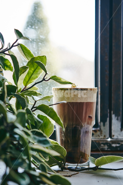 coffeecup,커피컵,cup,컵,beverage,마실것,아인슈페너,비엔나커피,아이스커피,크림커피,감성사진,골든아인슈페너,금가루,금가루커피,커피,coffee,초록,커피,카페,coffee,cafe