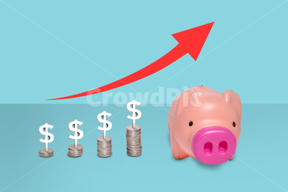 그래프,가격,price,돼지,pig,은행,bank,달러,동전,coin,경제,economy,투자,save,finance,money,pink,piggy,돼지저금통,금융,돈,finance,banking,money,그래픽,일러스트레이션,graphic,illustration