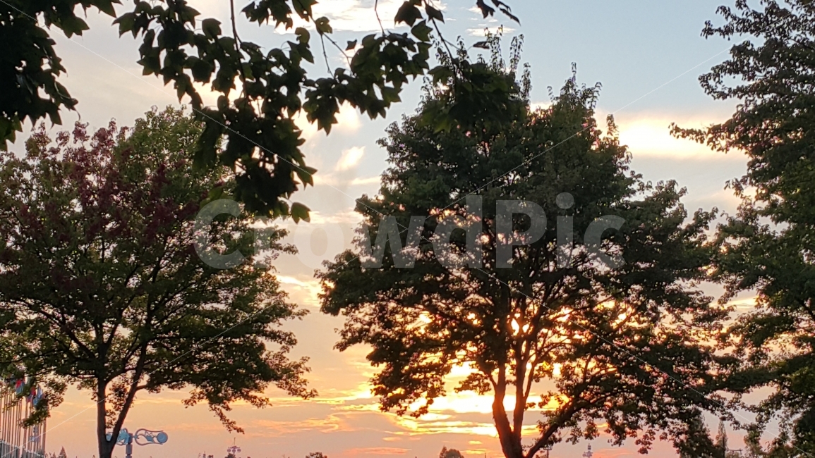하늘,노을,나무,구름,붉은노을,자연,풍경,nature,landscape,한국자연풍경,한국자연경관,korea nature landscape,식물,plants,나무,trees,wood,plant,tree