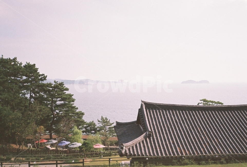 나무,tree,식물,plant,바다,sea,자연,nature,필름,필름사진,film,경치,풍경,landscape,outdoors,옥외,건물,한옥,전통,traditional,building,water,물