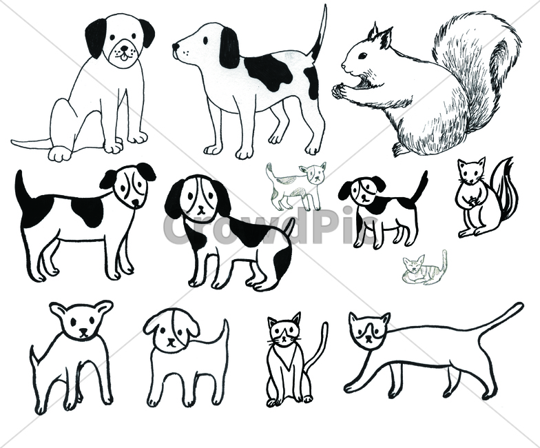 손그림,handdrawing,팬그림,팬라인,pen,penline,penpicture,pendrawing,개,dog,고양이,cat,feline,동물,animal,kitty,다람쥐,squirrel
