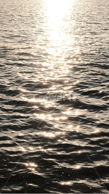 바다,해변,물,빛,자연,석양
