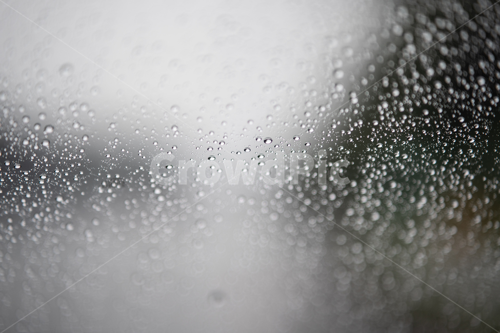 비,빗방울,물방울,rain,raindrop,비,비오는날,rain,rainy