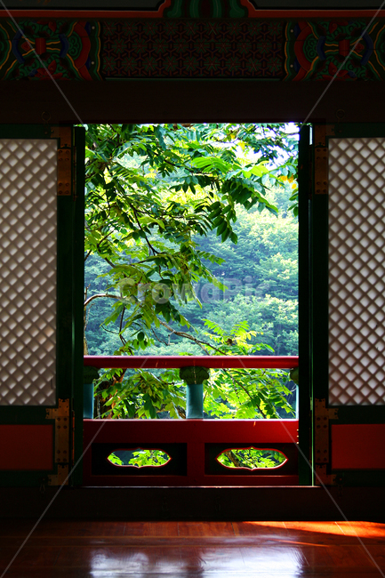 방,풍경,창문,전통가옥,한옥,집,건축,건물,목조주택,목조,homedecor,가정장식,window,창