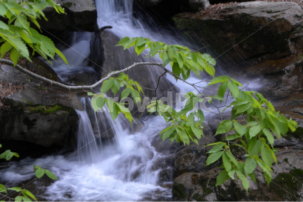 폭포,계곡,나뭇잎,초록,바위,여름,계절,summer,season,자연,풍경,nature,landscape,river,강,outdoors,옥외,water,물,waterfall