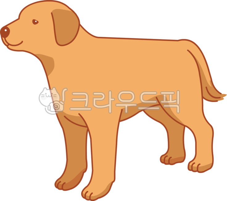 Pets,animal,labrador retriever,dog,mammalia,pet