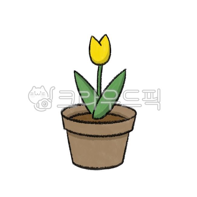 tulip picture,spring flowers,Tulip,tulip illustration,flower pot,yellow tulips,flower