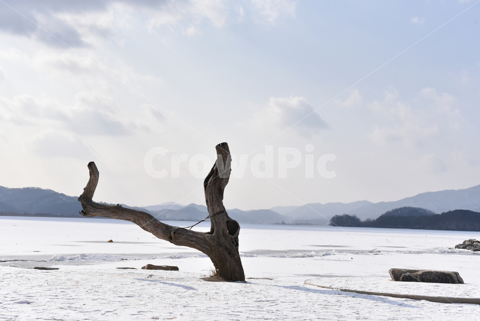 호수,나무,고사나무,설경,눈,얼음,하늘,겨울하늘,겨울호수,풍경,겨울,계절,winter,season