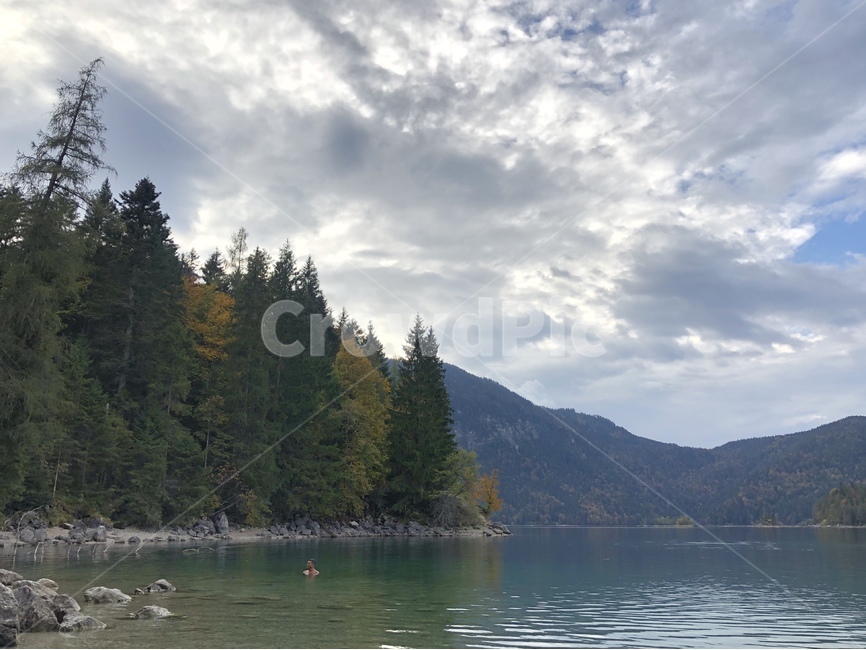 식물,옥외,tree,나무,자연,water,물,outdoors,자연,풍경,nature,landscape,plant,fir,전나무