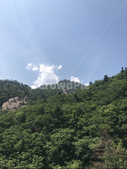 산,자연,설악산,바위,하늘,나무,seoraksanmountain,mountain,nature,자연,풍경,nature,landscape,outdoors,옥외