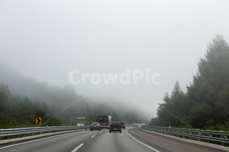 교통,배경,풍경,도로,고속도로,안개,안개낀,가시거리,도로표지판,교통안내판,가드레일,안전운전,안전운행,승용차,자동차,과속,과속금지,도로상황,아침,중앙분리대,차선,차선엄수,조심운전,기상,기후,안개주의보,안개주의,추월,추월금지