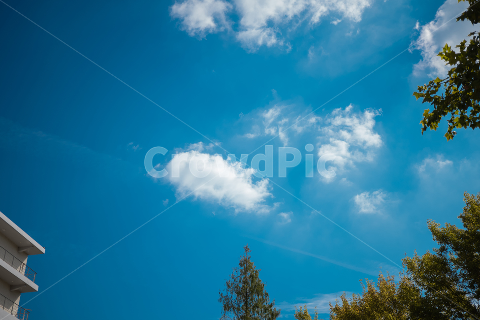 nature,자연,outdoors,옥외,sky,하늘,azuresky,푸른하늘