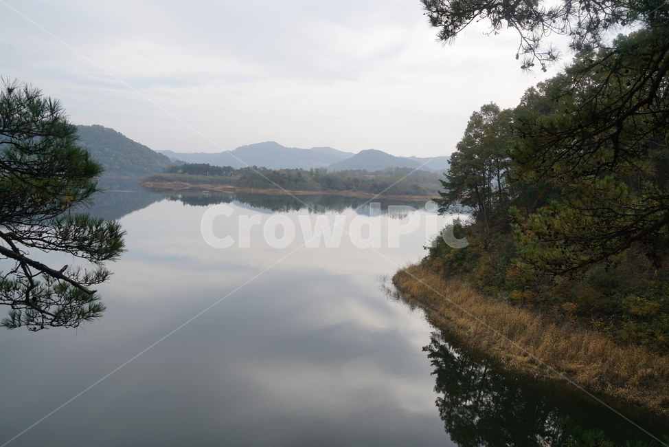 호수,담수호,저수지,호수공원,수변로,풍경,경치,water,물,nature,자연