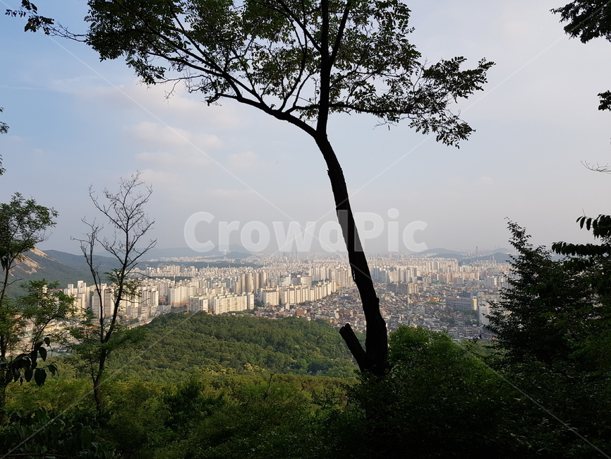 자연,풍경,landscape,nature,휴식,rest,season,나무,산,등산,아파트,마을,서울전경