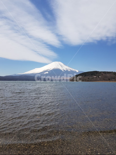 후지산,후지산야마나카호,눈덮힌후지산,후지산호수,겨울후지산,맑은후지산,일본,일본산,후지산구름,호수,파란하늘,맑은하늘,구름,산,물,눈,겨울산