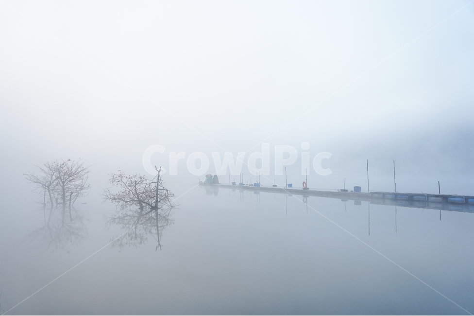 낚시터,부교,다리,호수,안개,물안개,폴,파잎,새벽,낚시,자연,풍경,nature,landscape,weather,날씨,outdoors,옥외