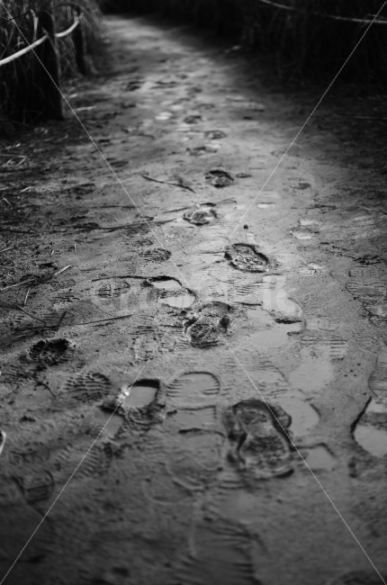 발자국,과거,지나온길,흑백,DSLR,감성,sensible,feeling,흑백,모노톤,monochrome,black and white