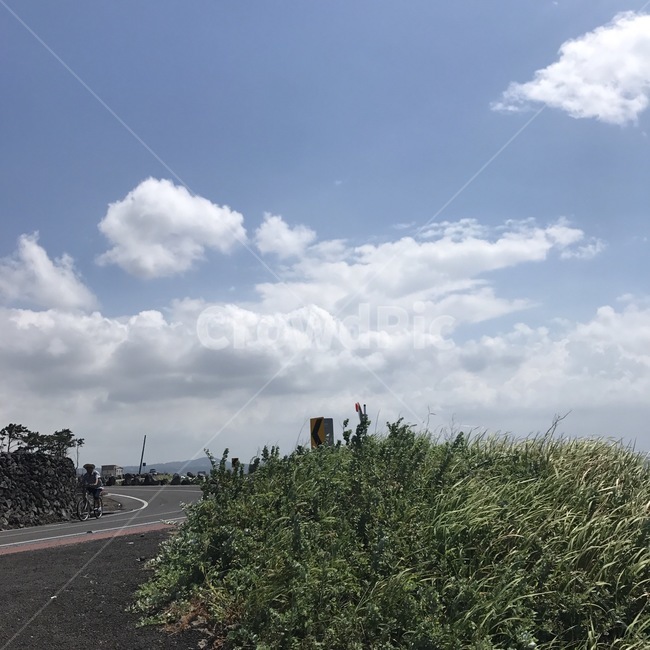 구름,제주도,풀,도로,해안도로,푸르른,여름,자연,풍경,nature,landscape,road,asphalt,아스팔트,outdoors,옥외,weather,날씨