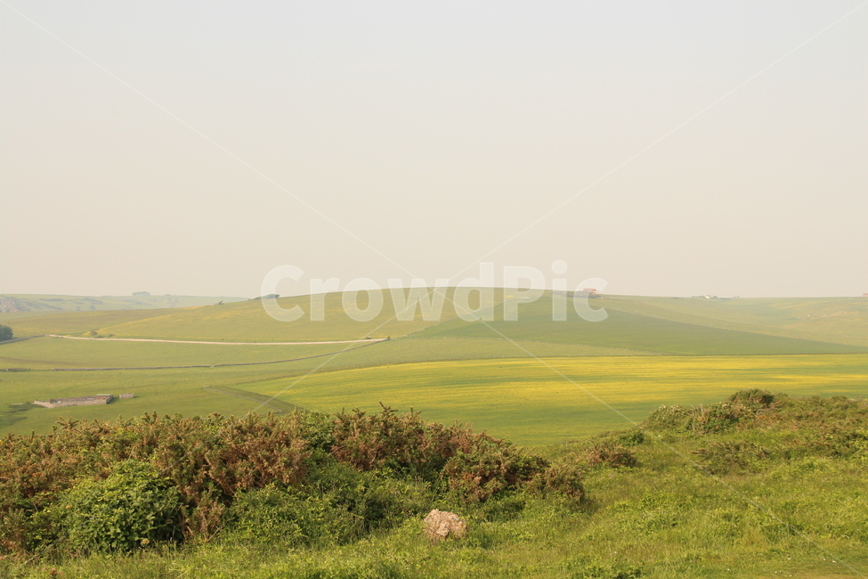 들판,잔디,수평,녹색,green