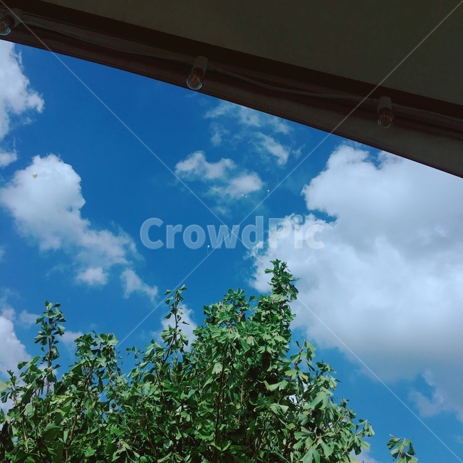 가을,하늘,가을하늘,구름,맑은,나무,clear,예쁜,sky,자연,계절,감성,자연,풍경,nature,landscape,outdoors,옥외,weather,날씨,cumulus,적운,cloud,azure sky,푸른 하늘
