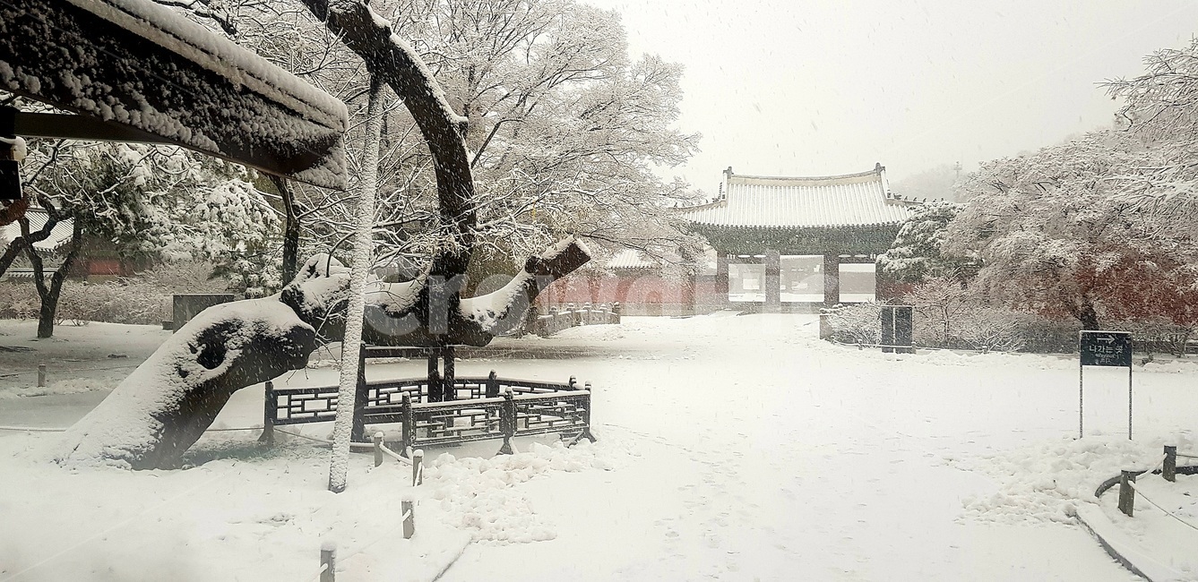 창덕궁,설경,첫눈,서설,고궁,palace,firstsnow,changdeokgungpalace,겨울,계절,winter,season,한국전통,한국문화,korean traditional,korean culture,건축물,건물외관,exterior,building,structure,architecture,construction