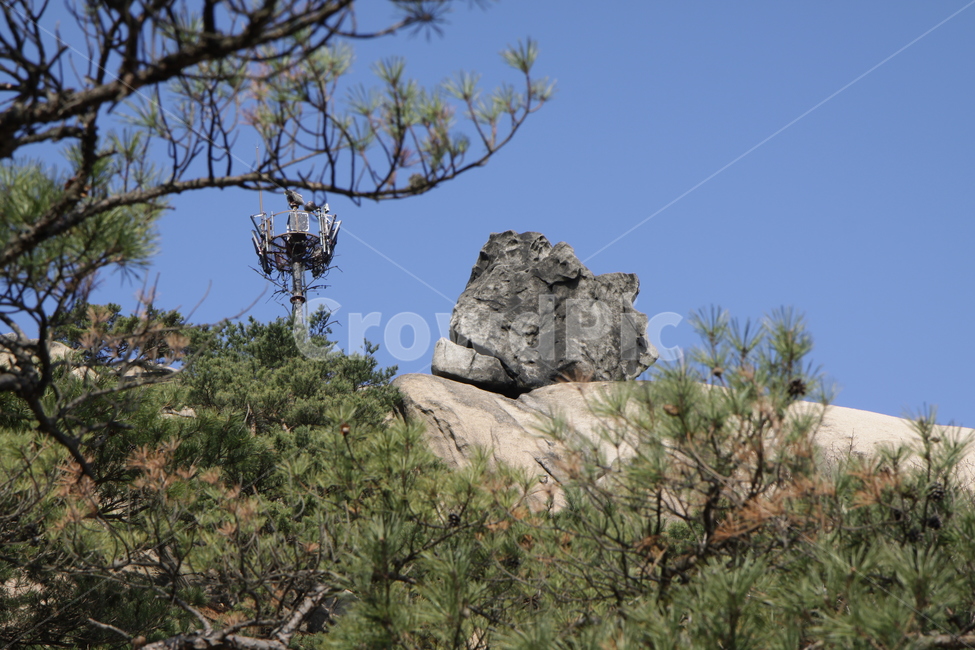 북한산,산행,겨울산,나무,바위,자연,풍경,nature,landscape,한국자연풍경,한국자연경관,korea nature landscape,plant,식물,tree