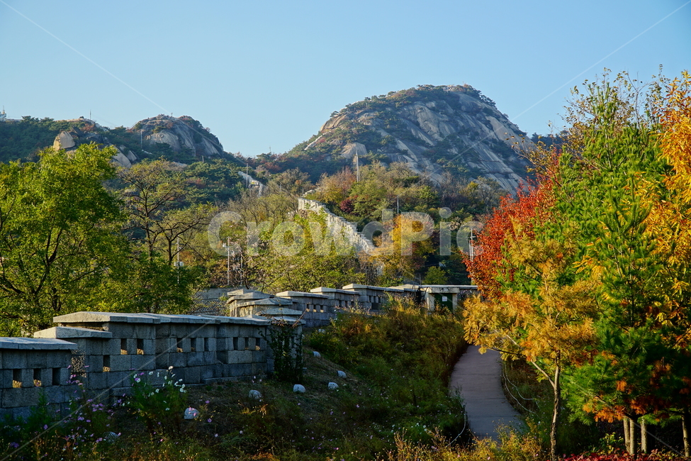 인왕산,서울,한국,코리아,한양도성,한양도성길,순성,성벽,가을,단풍,산맥,나무,seoul,korea,landscape,vista,view,scenery,scene,tree,fall,autumn,castle,캐슬,mountain,하늘,sky,한국전통,한국문화,한국문화재,전통문화,전통문화재,전통,문화,문화재,유적,유적지,순성길,가을,계절,fall,autumn,season,자연,풍경,nature,landscape,한국자연풍경,한국자연경관,korea nature landscape,plant,식물,outdoors,옥외