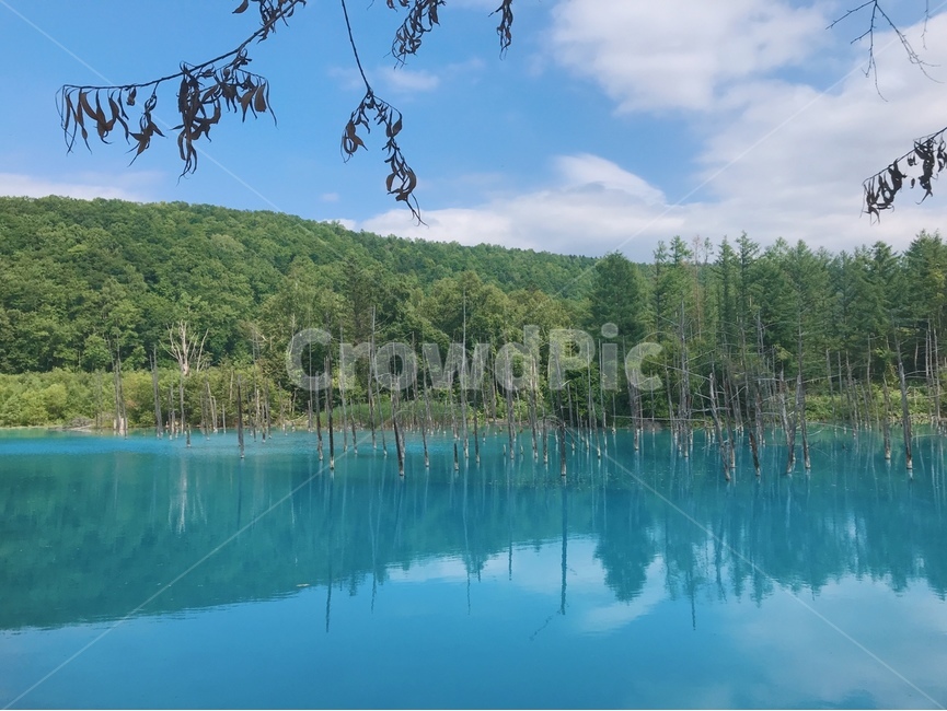 water,물,nature,자연,outdoors,lake,호수,자연,풍경,nature,landscape
